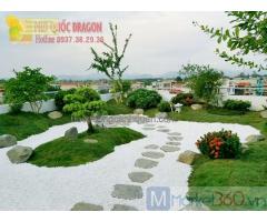 Dịch vụ cây xanh, design sân vườn ở Đồng Nai, Hcm
