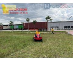 Báo giá dịch vụ cắt cỏ ở Đồng Nai, HCM, Bình Dương