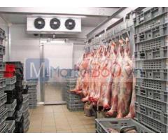 Lắp đặt kho lạnh bảo quản thịt heo cung cấp siêu thị