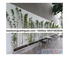 Thiết kế thi công sân vườn trọn gói ở Đồng Nai, TpHCM, Bình Dương