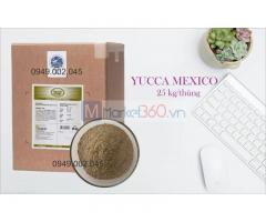 Yucca Star Powder - Yucca nguyên liệu Mexico dạng bột