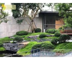 Thiết kế cảnh quan sân vườn đẹp 2023 ở Hcm Đồng Nai