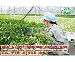 Loại màng nhà kính nào được tập đoàn Vingroup (vineco) sử dụng?