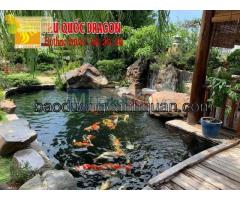 Vệ sinh hồ cá Koi, vệ sinh bể lọc hồ cá ở HCM, Đồng Nai