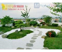 Trồng c.ỏ sân vườn, sân golf ở Đồng Nai, Hcm, Vũng Tàu