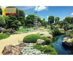 Thiết kế sân vườn hiện đại xanh mát ở TPHCM, Đồng Nai