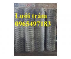 Lưới dập giãn mắt 25x50, lưới trám 2 ly ô 25x50, lưới mắt cáo hình thoi ô 25x50