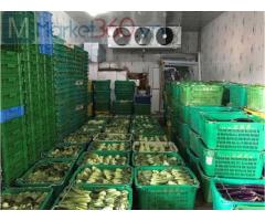 Cung cấp kho lạnh tại Đồng Nai, Kho lạnh trữ nông sản rau củ quả