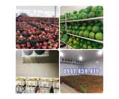 Lắp đặt kho lạnh trữ trái cây, củ quả Bình Thuận, Thiết kế kho lạnh trữ thủy sản