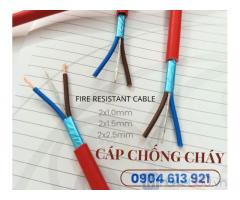 Cáp tín hiệu chống nhiễu 12 lõi 0.5/0.75/1.0/1.5mm