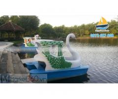 Sản xuất thiên nga đạp nước, thuyền đạp vịt, thiên nga composite tại Lâm Đồng