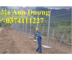 Báo giá hàng rào lưới thép mạ kẽm