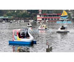 Thuyền đạp vịt, thiên nga đạp nước, vịt đạp nước tại Nha Trang, Khánh Hòa