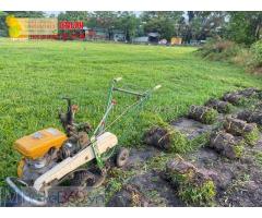 Bán c.ỏ sân vườn ở TPHCM, Đồng Nai giá rẻ cỏ khỏe