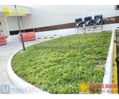 Cung cấp và thi công trồng cỏ sân vườn ở HCM, Đồng Nai