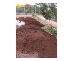 Bán đất màu trồng cây, đất phù sa ở HCM, Đồng Nai, Long An