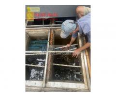 Dịch vụ Vệ sinh hồ cá Koi, thi công hồ cá ở HCM , Đồng Nai