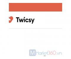 Køb Instagram-følgere fra Twicsy