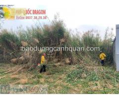 Dịch vụ cắt cỏ, dịch vụ phát hoang chuyên nghiệp, giá rẻ ở HCM, Đồng Nai