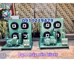 Kiểm tra, sửa chữa cụm máy nén kho lạnh Bitzer 15hp 4PES-15Y tại Phú Yên