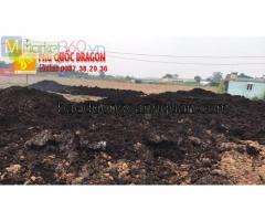 Đất màu trồng cây, đất công trình giá rẻ ở Đồng Nai, HCM