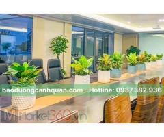 Cung cấp, cho thuê cây xanh nội thất ở HCM, Đồng Nai