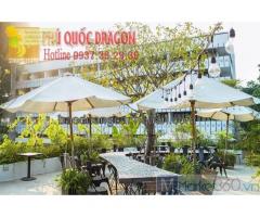 Thiết kế cảnh quan quán café sân vườn ở HCM Đồng Nai