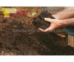 Đất màu trồng cây sạch giá rẻ ở Đồng Nai, HCM