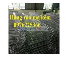 Báo giá hàng rào mạ kẽm D5A50x200