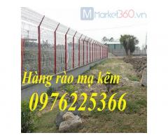 Hàng rào lưới mạ kẽm