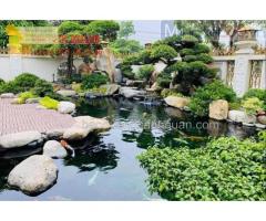 Thiết kế sân vườn đẹp, hồ cá Koi phong thủy ở Đồng Nai, HCM