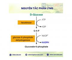 D-Glucose HK Assay Kit