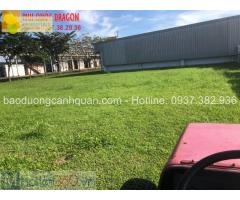 Dịch vụ cắt cỏ sân banh, sân golf giá rẻ ở Đồng Nai, HCM
