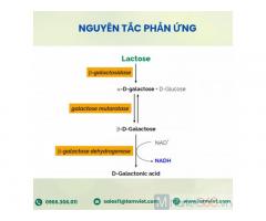 Bộ Kit Lactose/Galactose Assay Kit (Rapid)