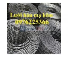 Lưới thép mạ kẽm hàn ô vuông D2, D3, D4