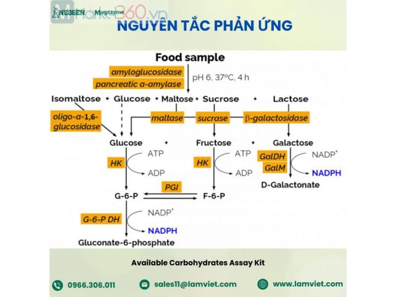 Hình ảnh 2 / 2