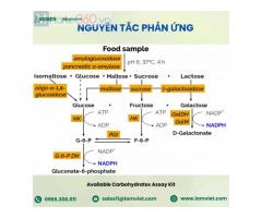 Bộ thuốc thử/ xét nghiệm carbohydrate