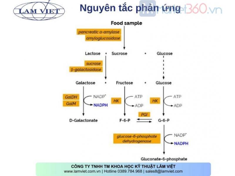 Hình ảnh 2 / 2