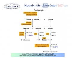 Kit thử Available Cacbonhydrate