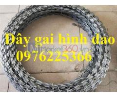 Dây kẽm gai lưỡi dao - Dây kẽm gai hình dao