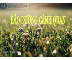 Dịch vụ bảo dưỡng cảnh quan tại Đồng Nai