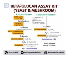 Bộ kit thử Beta-Glucan (Yeast & Mushroom)