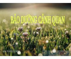 Dịch vụ cải tạo cảnh quan sân vườn tại Đồng Nai