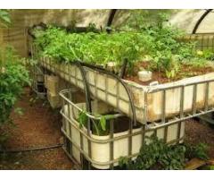 Hệ thống trồng rau nuôi cá sạch aquaponics 4 khay to chất lượng cao giá rẻ