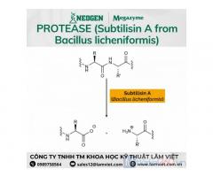 Protease (Subtilisin A from Bacillus licheniformis)