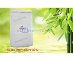 Yucca Ammocure 30 - Yucca bột nguyên liệu Mỹ