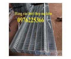 Sản xuất hàng rào lưới thép mạ kẽm nhúng nóng, lưới mạ kẽm nhúng nóng giá rẻ tại Hà Nội