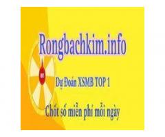 Rồng bạchkim infovip