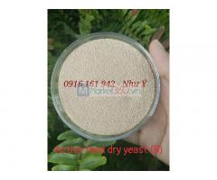 ACTIVE FEED DRY YEAST (B) - Men vi sinh Saccharomyces boulardii 20 tỷ vi sinh