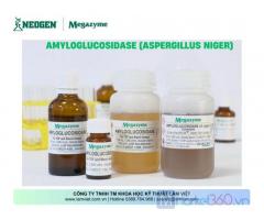 Amyloglucosidase (Aspergillus niger)